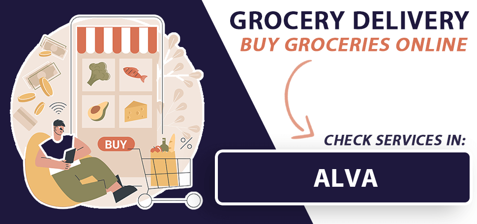 grocery-delivery-alva